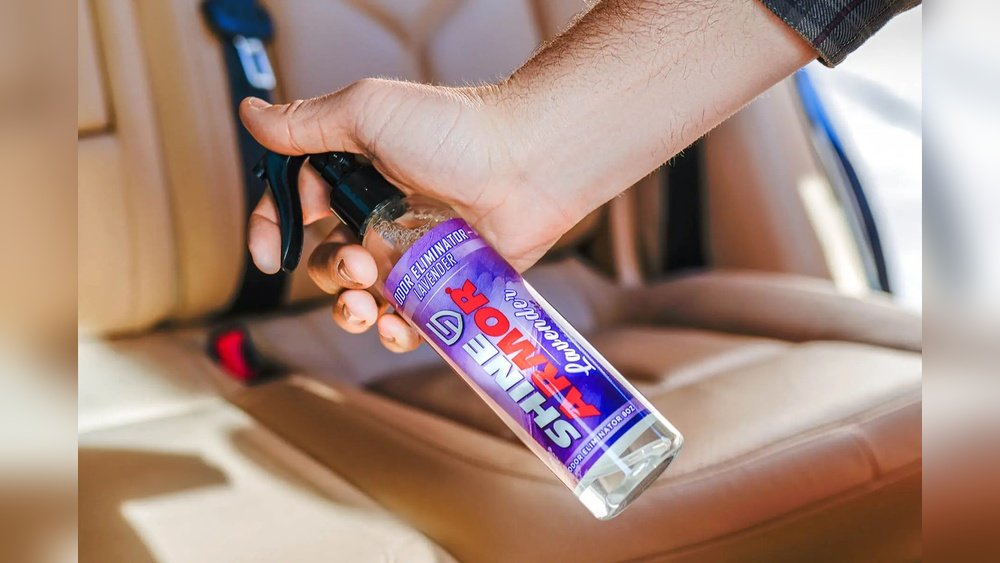 How Do You Get Skunk Smell Out of a Car?