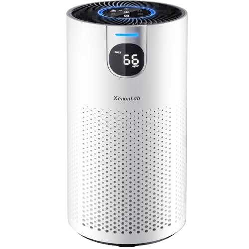 Air Purifiers for Home Large Room Covers 1800Ft² VisionAir...
