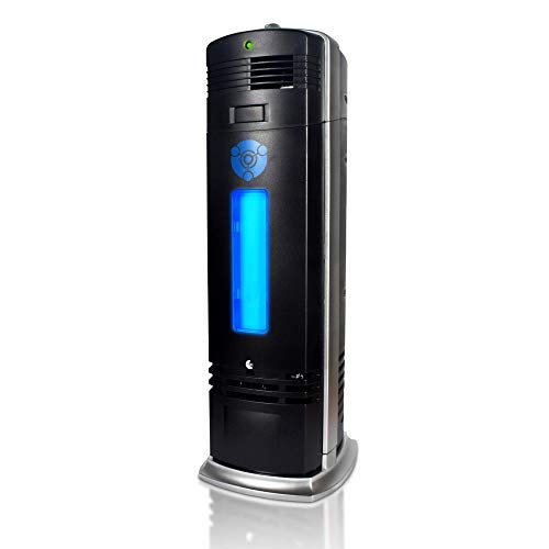 OION Technologies B-1000 Permanent Filter Ionic Air...