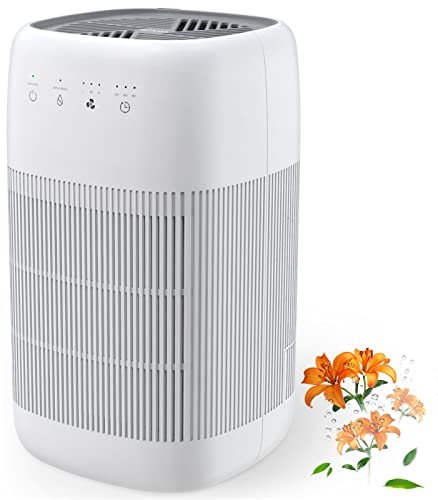 Afloia Air Purifier and Dehumidifier in 1, for Small Rooms