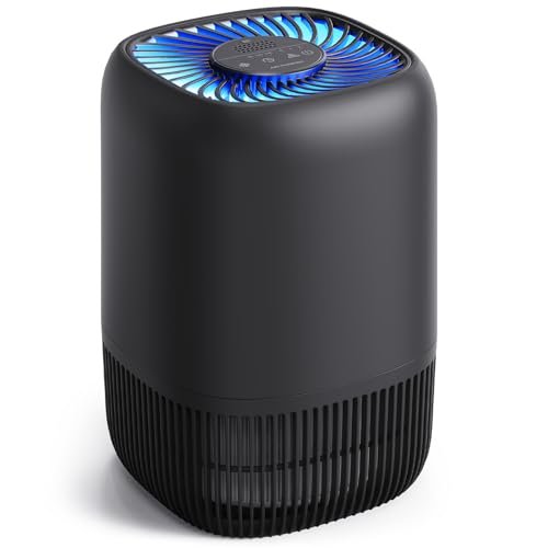Air Purifiers for Office with H13 Quiet HEPA Filter