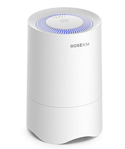 Rosekm Small Air Purifier for Home Bedroom, HEPA Filter