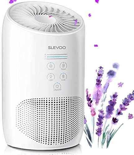Slevoo Air Purifiers for Bedroom Pets in Home H13 HEPA
