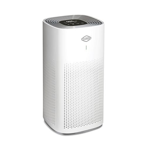 Clorox HEPA Air Purifiers for Home, True HEPA XL Rooms