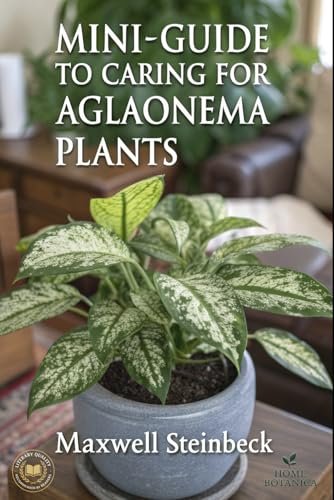 A mini-guide to caring for Aglaonema plants by Home Botanica