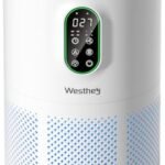 Best Air Purifier at Walmart - comprehensive buying guide and reviews