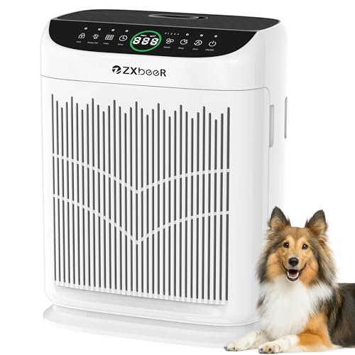 Best Air Purifier Brands 2025 - comprehensive buying guide and reviews