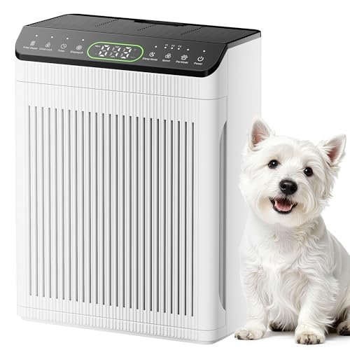 Best Air Purifier for 1100 Square Feet - comprehensive buying guide and reviews