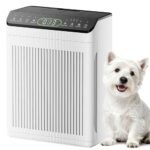 Best Air Purifier for 1800 Square Feet - comprehensive buying guide and reviews