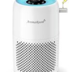 Best Air Purifier for Forest Fire Smoke - comprehensive buying guide and reviews