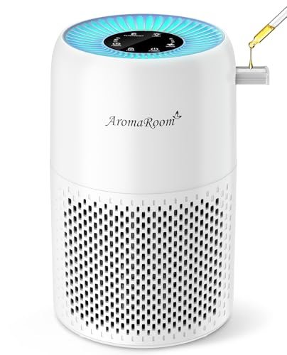 Best Air Purifier for Forest Fire Smoke - comprehensive buying guide and reviews