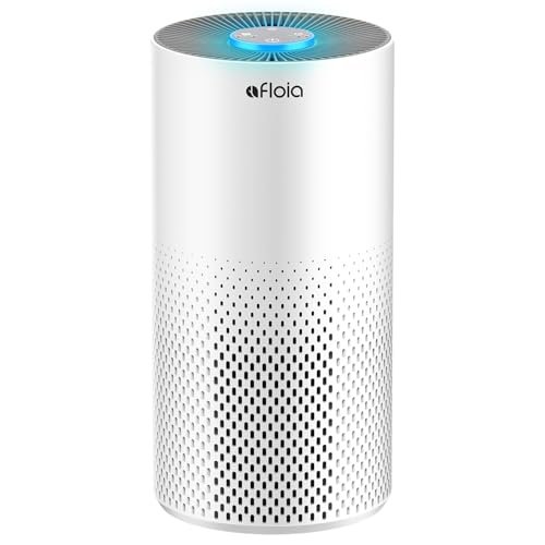 Best Air Purifier for Mold Reddit - comprehensive buying guide and reviews