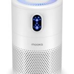 Best Air Purifier for Smoke and Odor - comprehensive buying guide and reviews