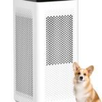 Best Voc Air Purifier - comprehensive buying guide and reviews
