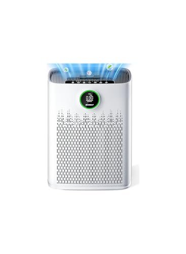 What Is the Best Air Purifier for a Home - comprehensive buying guide and reviews