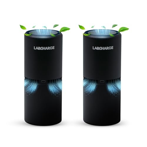 LabCharge Small Ionic Air Purifier for Home HEPA 2-Pack