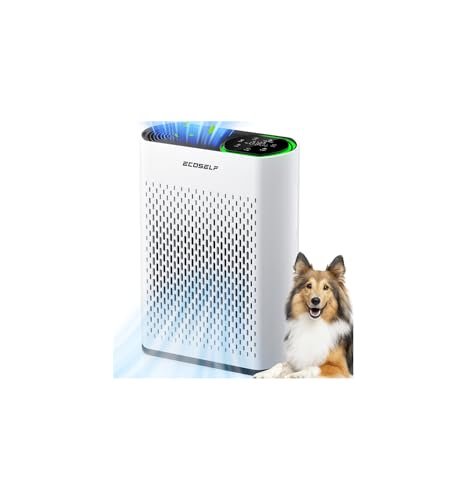 Air Purifier for Large Room, Cleans 2,400 ft² HEPA HAP602