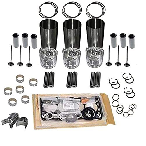 Wishbay Overhaul Rebuild Kit Compatible with Kubota D782...