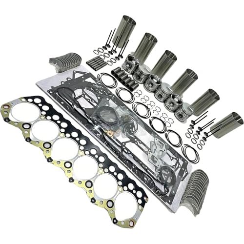 S6S 3046 Overhaul Rebuild Kit with Valve Mitsubishi Engine
