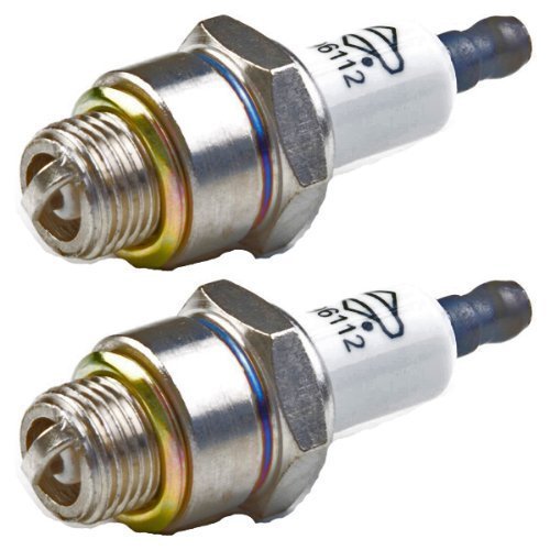 Briggs & Stratton 796112-2pk Spark Plug (2 Pack)