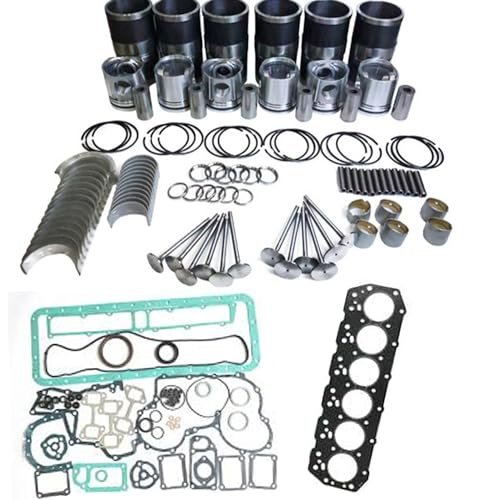 SPAKYGIE Overhaul Rebuild Kit fits for Caterpillar CAT C12...