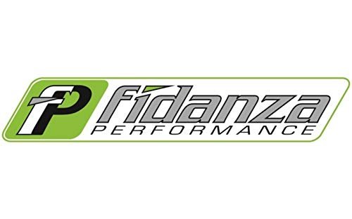 Fidanza 229101 Flywheel Friction Kit