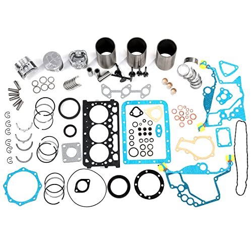 Eoiou Overhaul Rebuild Repair Kit Fits for Kubota D722...