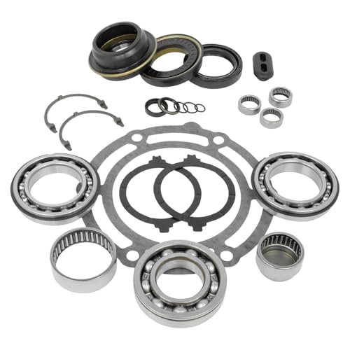 USA Standard Transfer Case NP261 & NP263 Bearing Kit 1995+